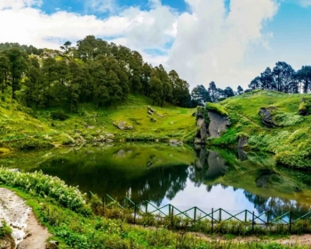 Jibhi & Jalori Pass Trip