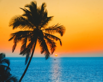 Goa Trip